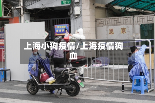 上海小狗疫情/上海疫情狗血
