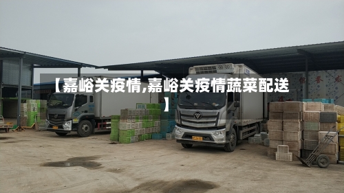 【嘉峪关疫情,嘉峪关疫情蔬菜配送】
