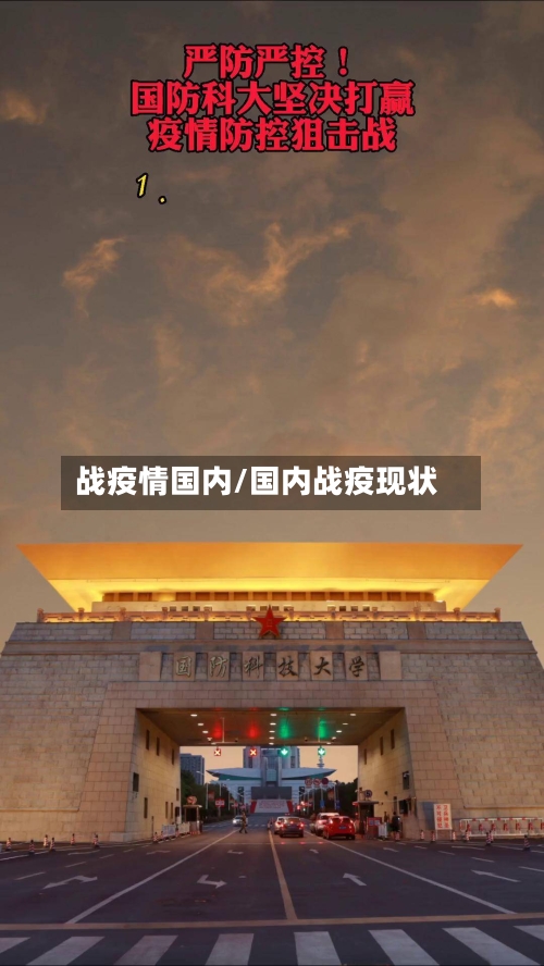 战疫情国内/国内战疫现状