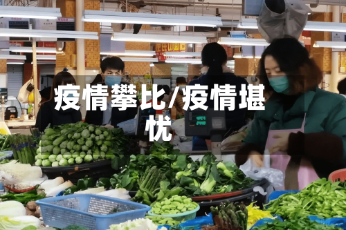 疫情攀比/疫情堪忧-第3张图片
