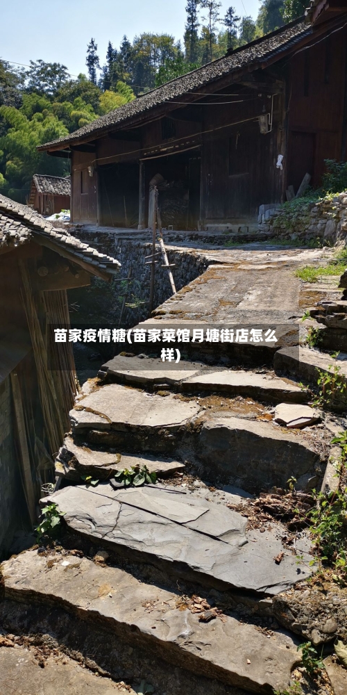苗家疫情糖(苗家菜馆月塘街店怎么样)-第3张图片
