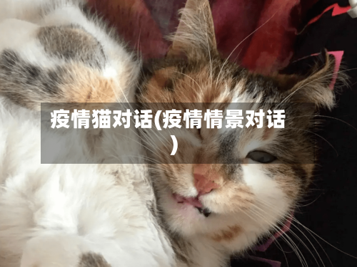 疫情猫对话(疫情情景对话)-第2张图片