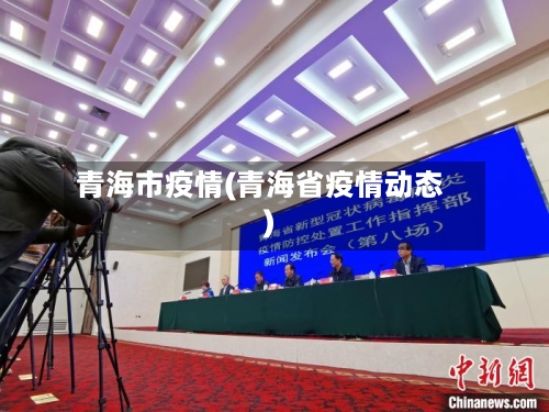 青海市疫情(青海省疫情动态)-第3张图片