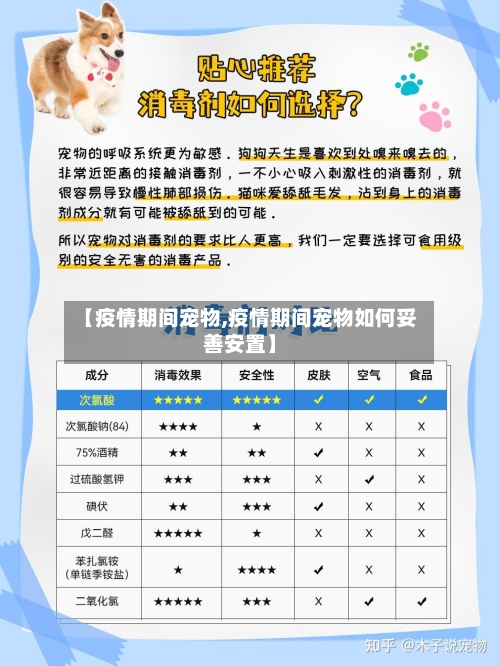 【疫情期间宠物,疫情期间宠物如何妥善安置】