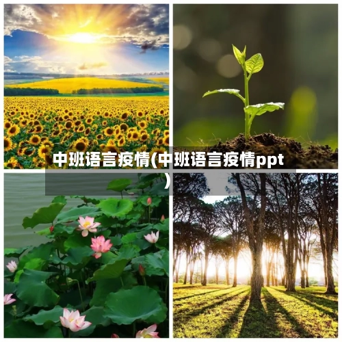 中班语言疫情(中班语言疫情ppt)-第2张图片