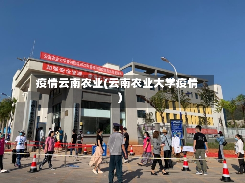 疫情云南农业(云南农业大学疫情)-第3张图片