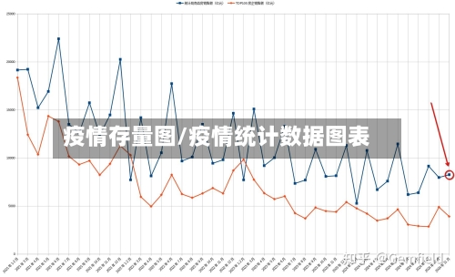 疫情存量图/疫情统计数据图表-第2张图片