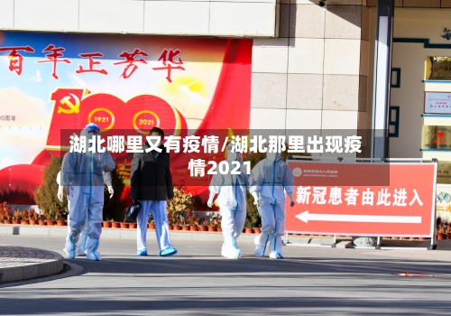 湖北哪里又有疫情/湖北那里出现疫情2021-第2张图片