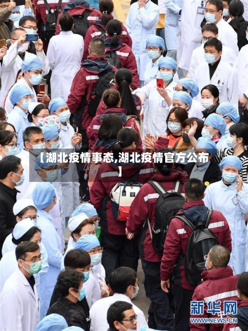 【湖北疫情事态,湖北疫情官方公布】
