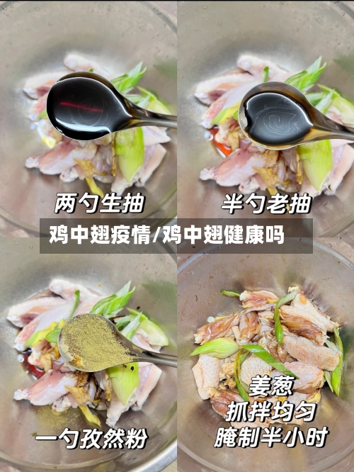 鸡中翅疫情/鸡中翅健康吗
