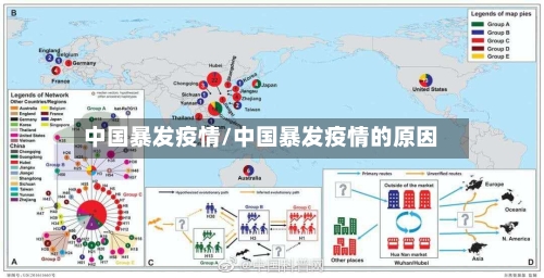 中国暴发疫情/中国暴发疫情的原因