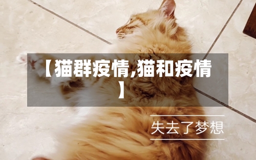 【猫群疫情,猫和疫情】
