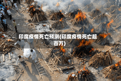 印度疫情死亡预测(印度疫情死亡超百万)-第2张图片
