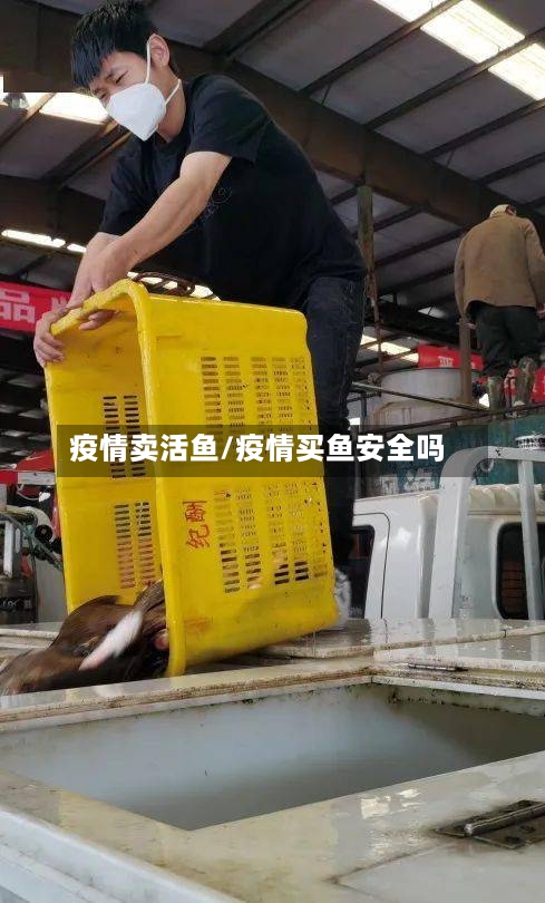 疫情卖活鱼/疫情买鱼安全吗