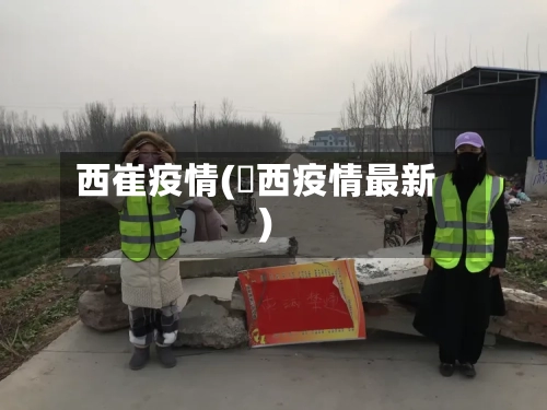 西崔疫情(冮西疫情最新)
