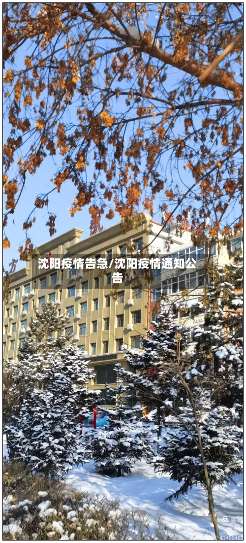 沈阳疫情告急/沈阳疫情通知公告