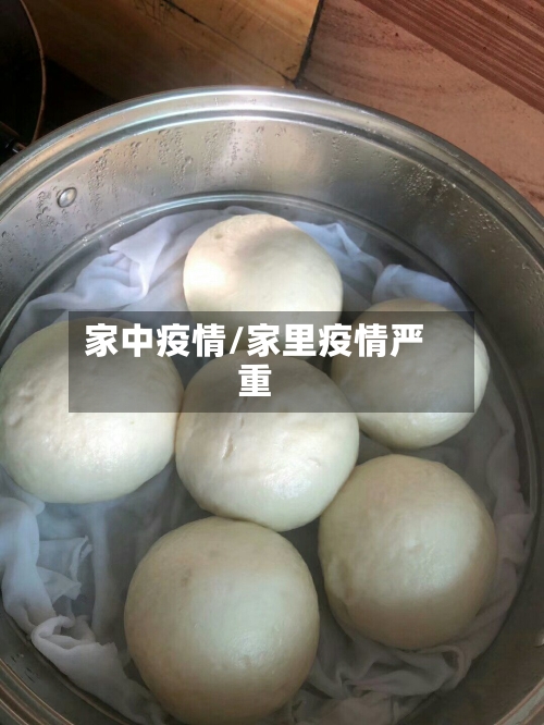 家中疫情/家里疫情严重