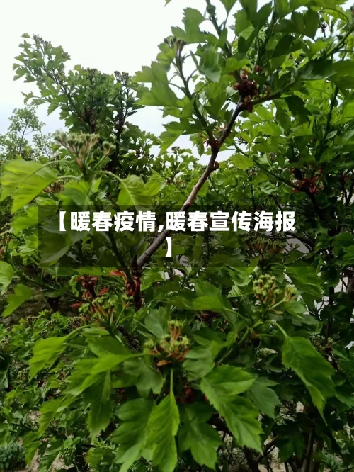 【暖春疫情,暖春宣传海报】-第3张图片