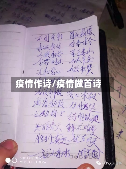 疫情作诗/疫情做首诗