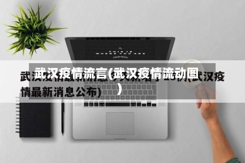 武汉疫情流言(武汉疫情流动图)-第2张图片