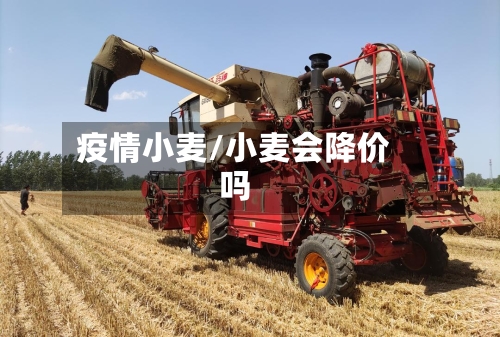 疫情小麦/小麦会降价吗-第3张图片