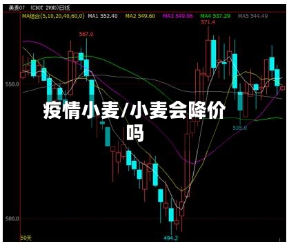 疫情小麦/小麦会降价吗