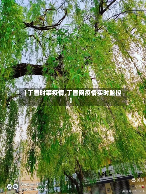 【丁香时事疫情,丁香网疫情实时监控】