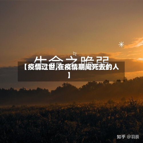 【疫情过世,在疫情期间死去的人】