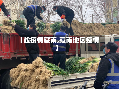 【趁疫情藏南,藏南地区疫情】