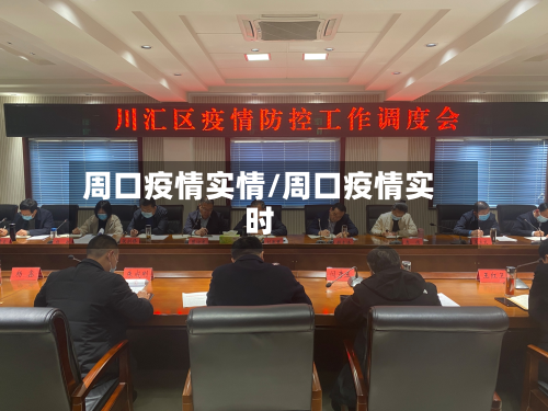 周口疫情实情/周口疫情实时-第2张图片