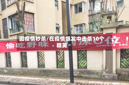 因疫情秒杀/在疫情爆发中击杀10个精英