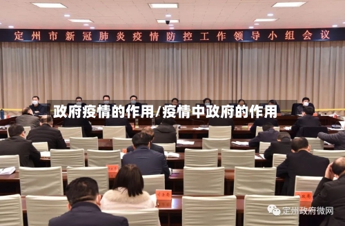政府疫情的作用/疫情中政府的作用