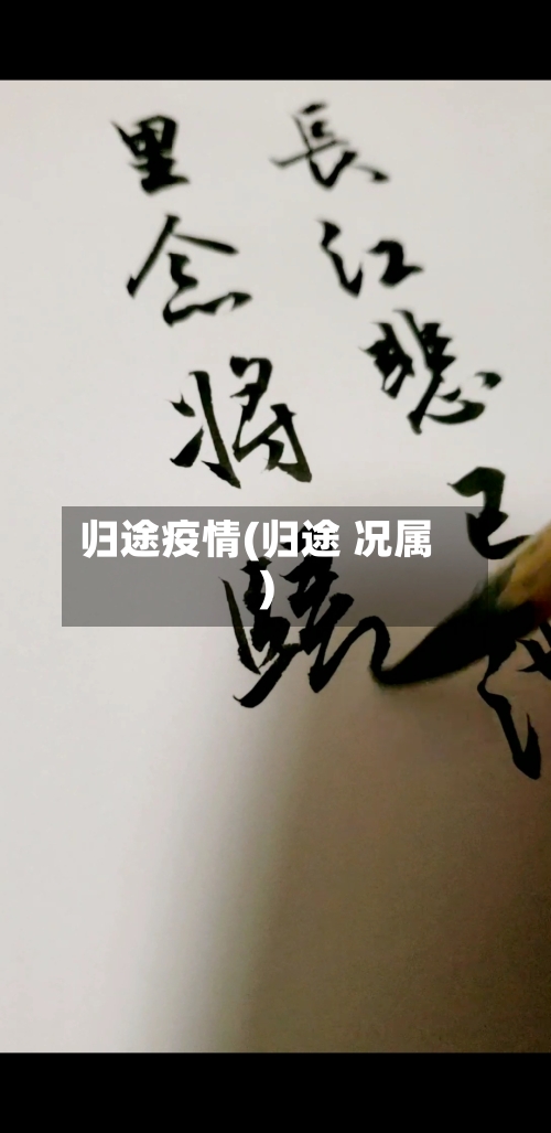 归途疫情(归途 况属)-第2张图片