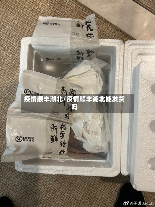 疫情顺丰湖北/疫情顺丰湖北能发货吗-第2张图片