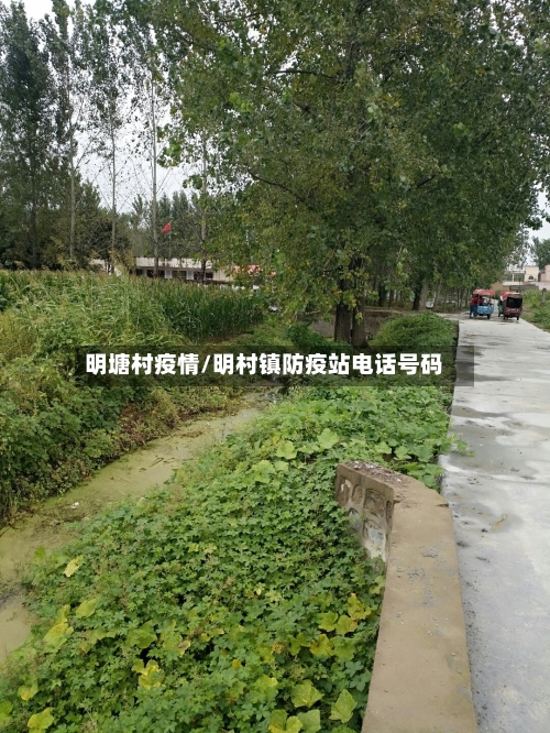 明塘村疫情/明村镇防疫站电话号码