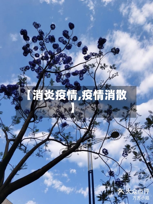 【消炎疫情,疫情消散】-第2张图片
