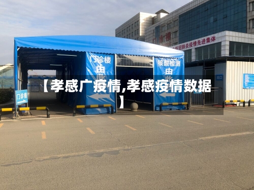 【孝感广疫情,孝感疫情数据】-第2张图片