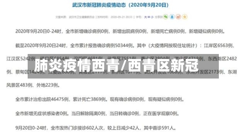 肺炎疫情西青/西青区新冠-第2张图片