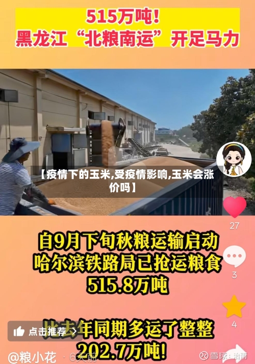 【疫情下的玉米,受疫情影响,玉米会涨价吗】