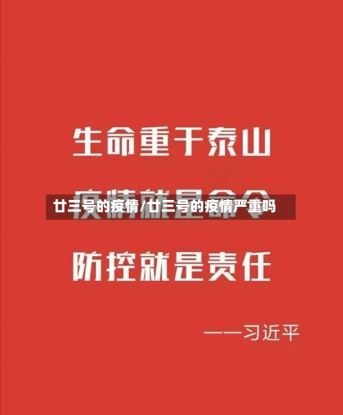 廿三号的疫情/廿三号的疫情严重吗-第2张图片