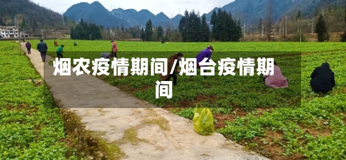烟农疫情期间/烟台疫情期间