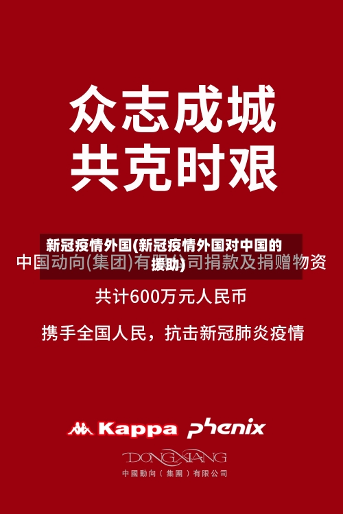 新冠疫情外国(新冠疫情外国对中国的援助)-第3张图片