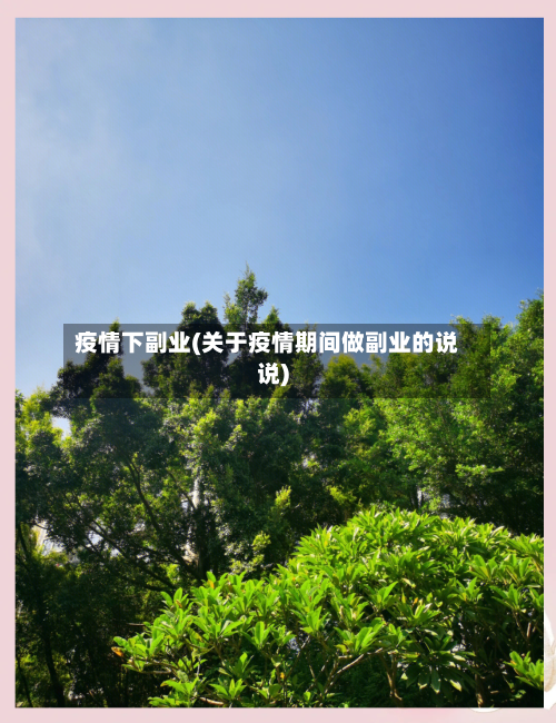 疫情下副业(关于疫情期间做副业的说说)