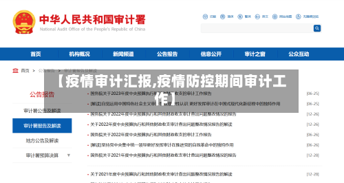 【疫情审计汇报,疫情防控期间审计工作】