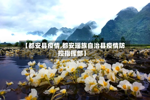 【都安县疫情,都安瑶族自治县疫情防控指挥部】-第2张图片