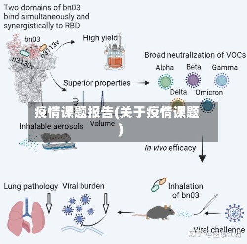 疫情课题报告(关于疫情课题)-第2张图片