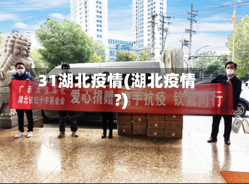 31湖北疫情(湖北疫情?)-第3张图片