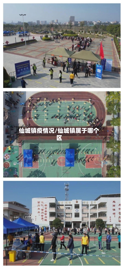 仙城镇疫情况/仙城镇属于哪个区