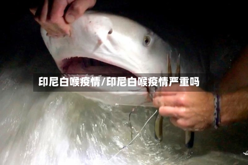 印尼白喉疫情/印尼白喉疫情严重吗