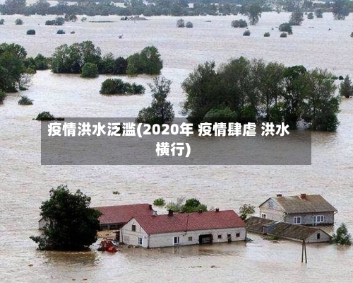 疫情洪水泛滥(2020年 疫情肆虐 洪水横行)